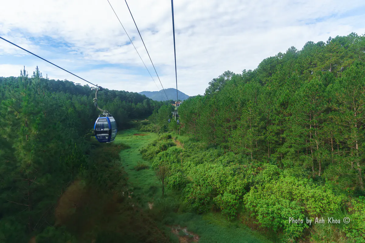 Cabin cáp treo Đà Lạt chạy trên rừng thông giữa đồi Robin và Thiền viện Trúc Lâm, tháng 8/2016