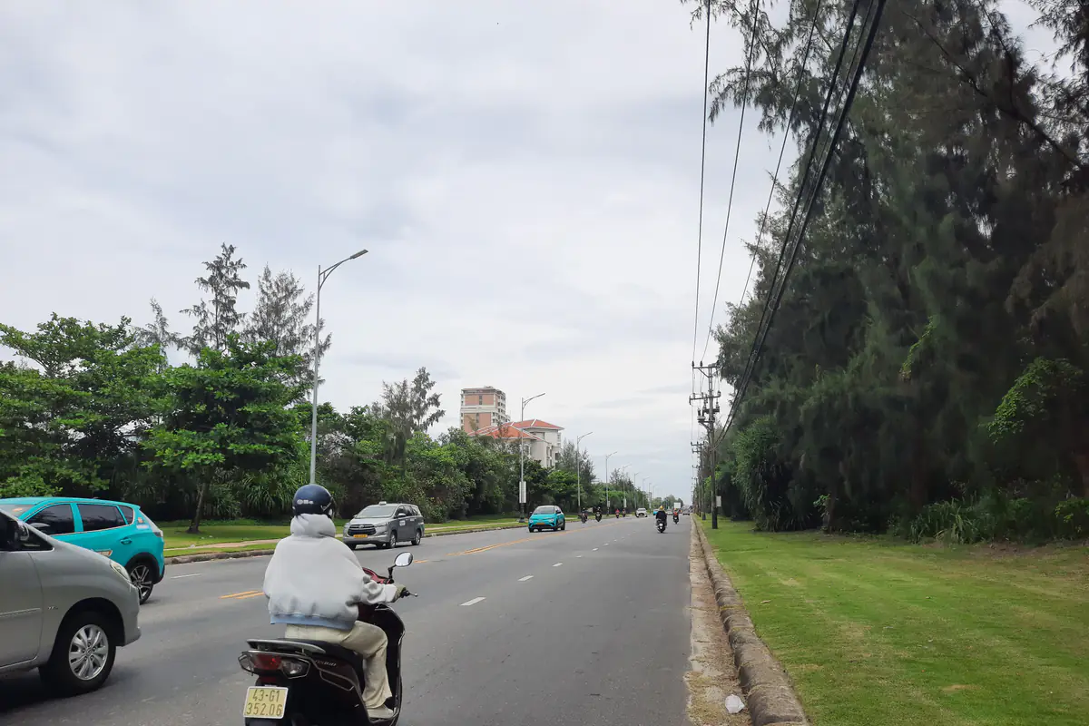 Truong Sa Street in Hoa Hai ward, Da Nang, lined with casuarina trees, a helmeted motorbike rider on the road