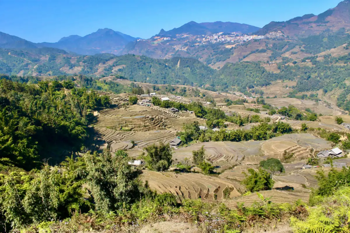 Ruộng bậc thang đã gặt xong trên sườn đồi ở Sa Pa, xen rừng cây và vài mái nhà, thị trấn Sa Pa nằm trên sườn núi phía xa, trời nắng, tháng 12/2019