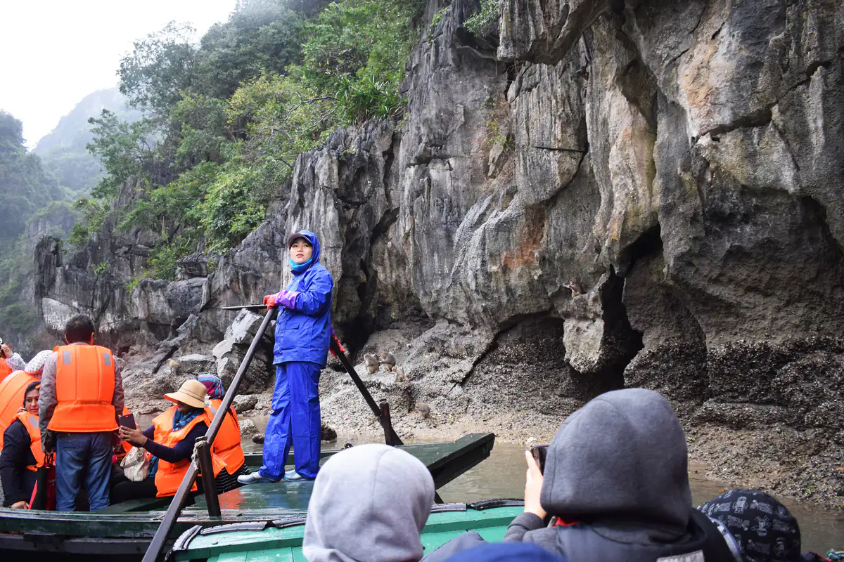 Người lái đò đứng chèo, du khách mặc áo phao cam ngồi trên đò nan ở khu hang Luồn, vịnh Hạ Long, tháng 1/2018