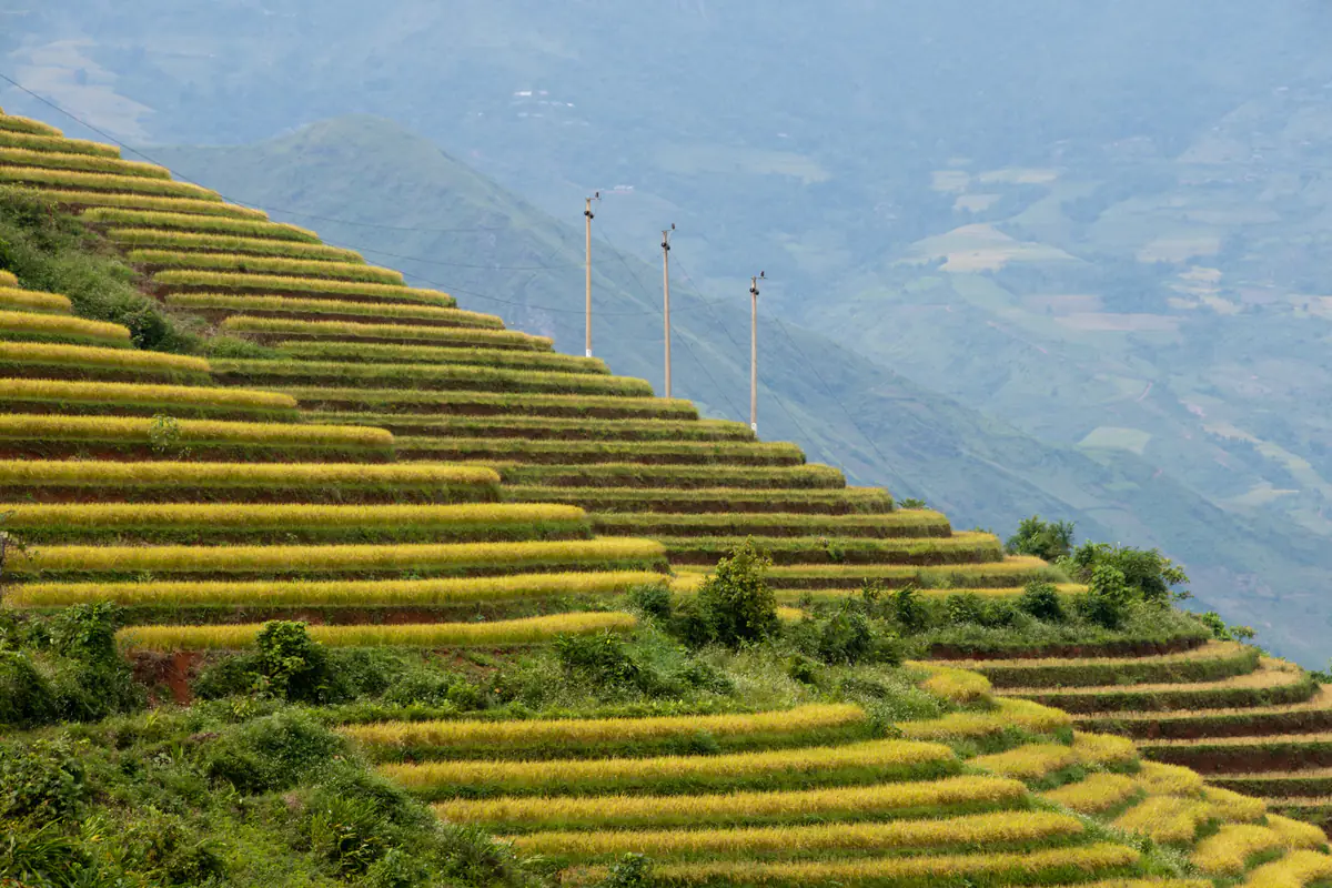 Hà Nội đi Sapa bằng gì: xe giường nằm, tàu đêm hay xe riêng