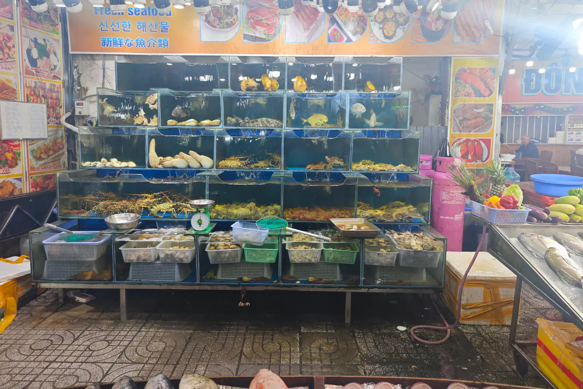 Quầy hải sản tươi ở chợ đêm Phú Quốc, Dương Đông, bể kính nuôi tôm hùm, cá, ốc và rổ nghêu sò bày trước quầy, tối 28/12/2025