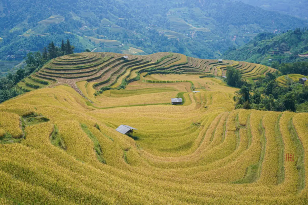Thời điểm du lịch Việt Nam đẹp nhất: tháng nào đi miền nào