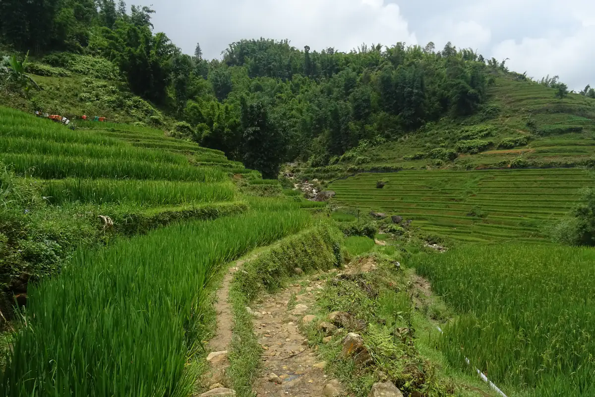 Trekking Sa Pa: chọn cung đường, người dẫn, homestay và mùa đi