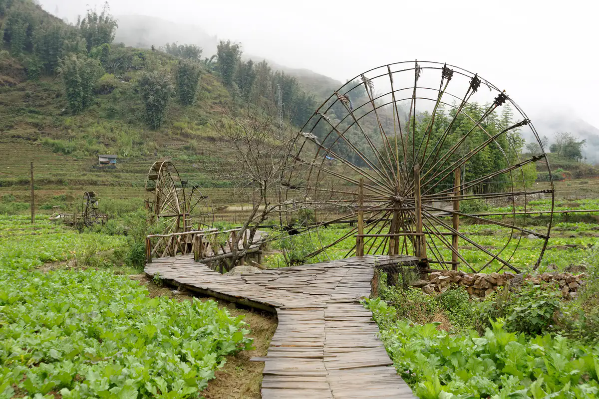 Lối đi lát gỗ giữa vườn rau dẫn tới guồng nước bằng tre ở bản Cát Cát, đồi phía sau phủ sương, tháng 1/2024
