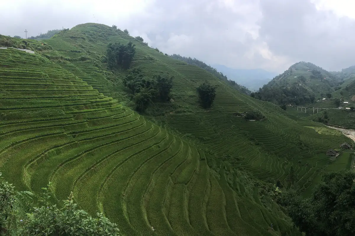 Sườn đồi ruộng bậc thang xanh ở Lao Chải nhìn xuống thung lũng Mường Hoa, núi xa mờ mây, tháng 8/2018